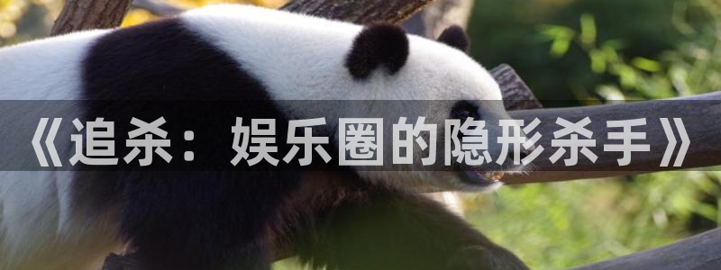 摩登7lite登录入口：《追杀：娱乐圈的隐形杀手》