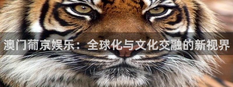 摩登7登录官网：澳门葡京娱乐：全球化与文化交融的新视界