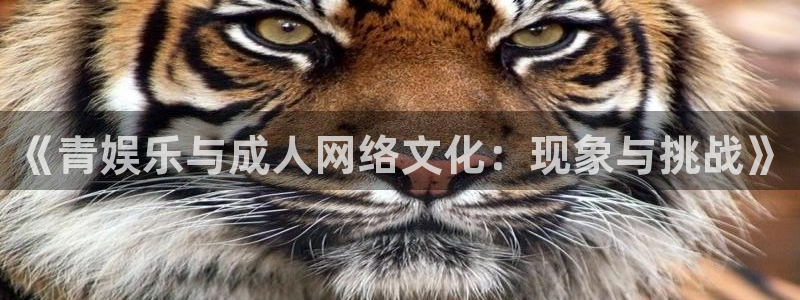 摩登7官网：《青娱乐与成人网络文化：现象与挑战》