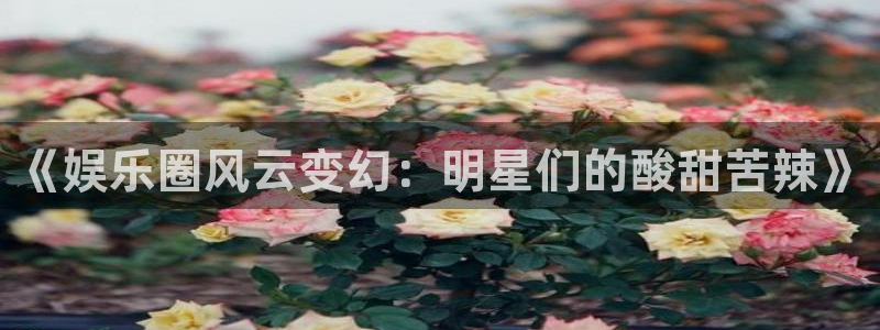 摩登7登录注册：《娱乐圈风云变幻：明星们的酸甜苦辣》